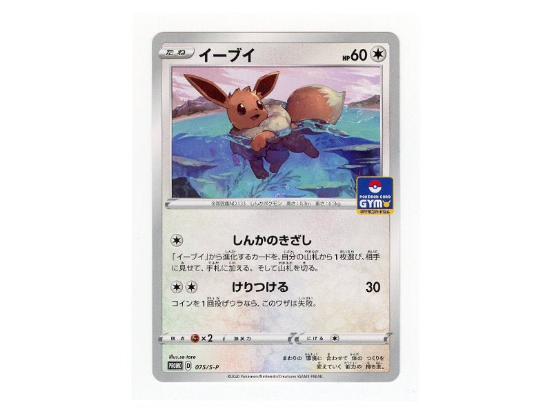 Pokémon Evoli 075/S-P - Promokarte OCG - BattleofCards